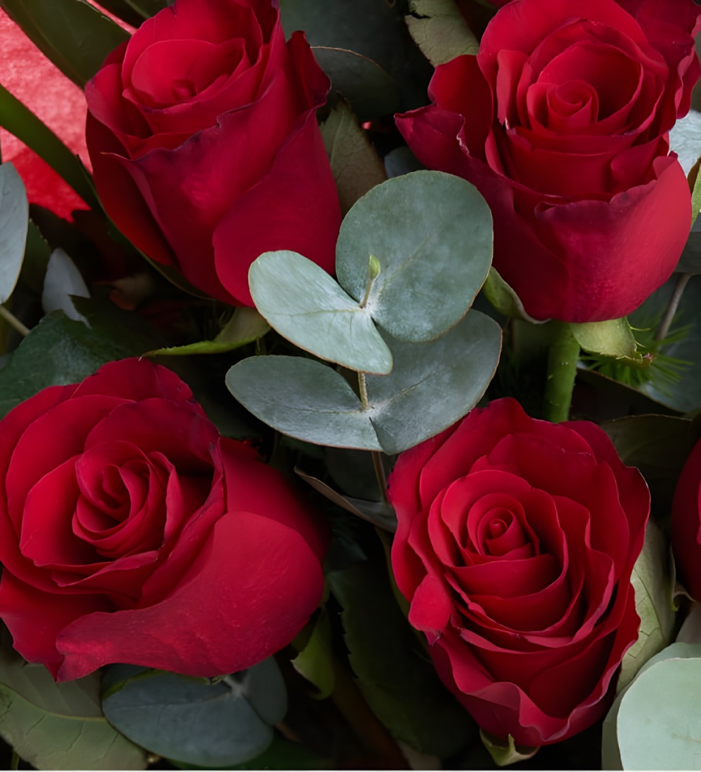 Kırmızı Bukette 11 Kırmızı Gül