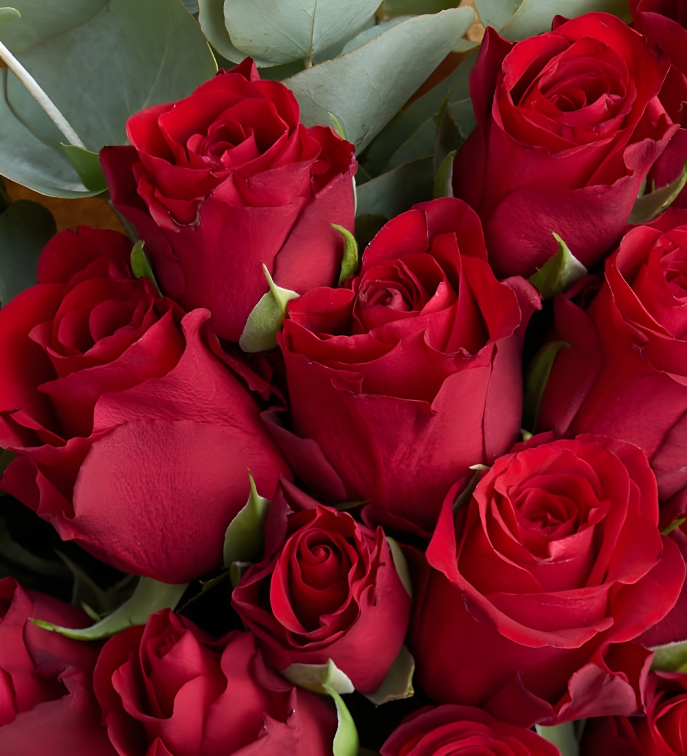 Kraft Buket Kağıdında 20'li Kırmızı Gül Buketi