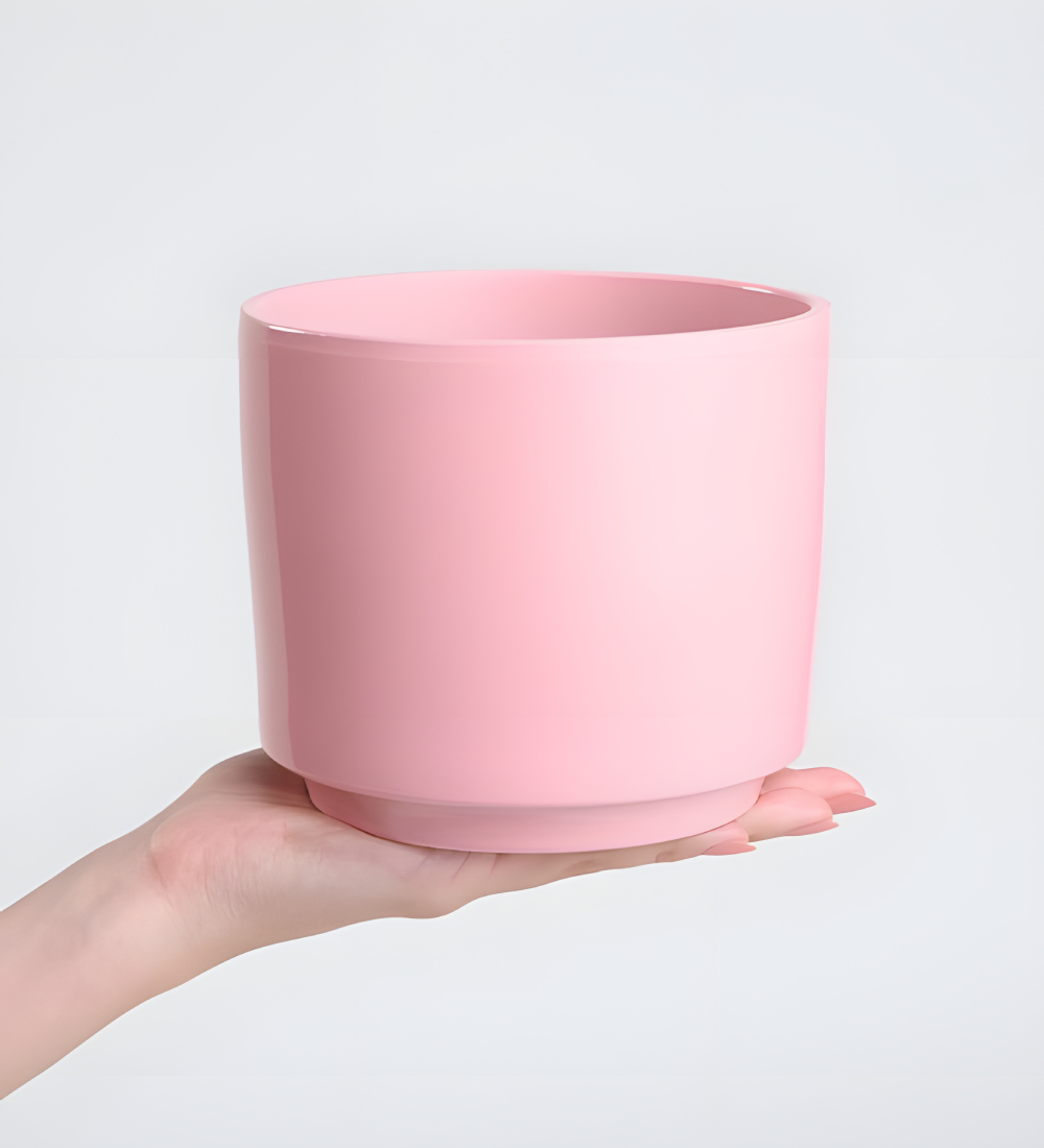 Pembe Beton Saksıda Çiftli Mor Orkide