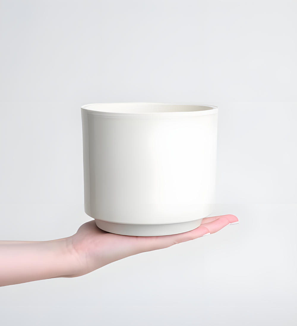 Six Bloom Orkide Çiçeği